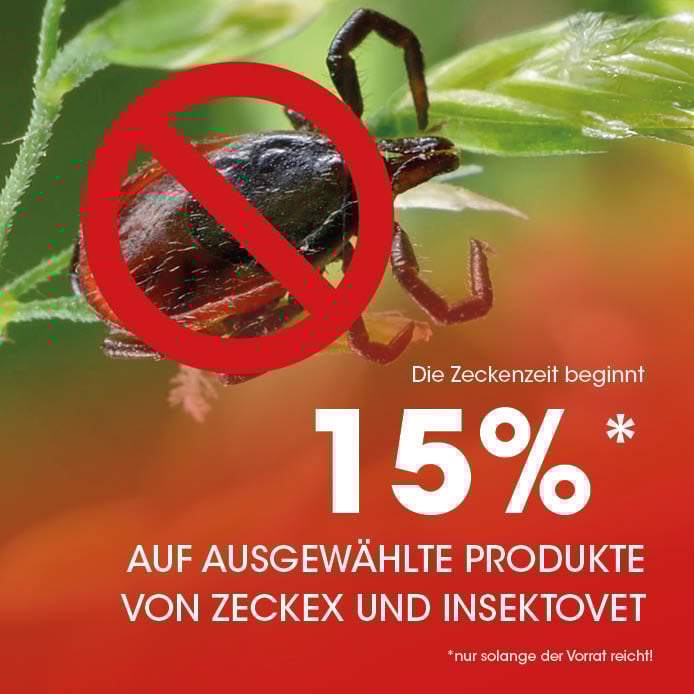 Image-Headline-Text 3